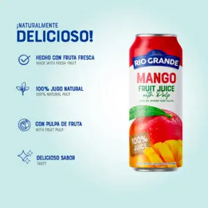 Mango Juice with Pulp 16.9 oz