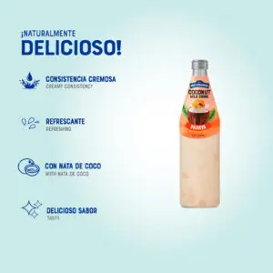 Coconut Milk Drink Papaya 490 mL