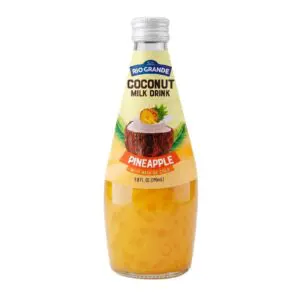 Coconut Milk Drink Pineapple with Nata de Coco / Bebida de Coco con Nata, Piña